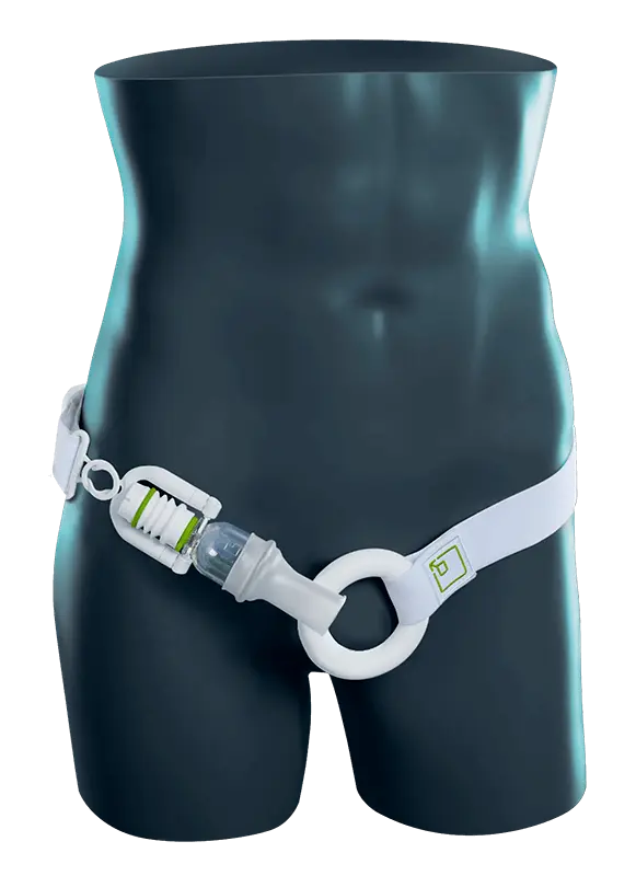 Anwendungsbild PHALLOSAN forte